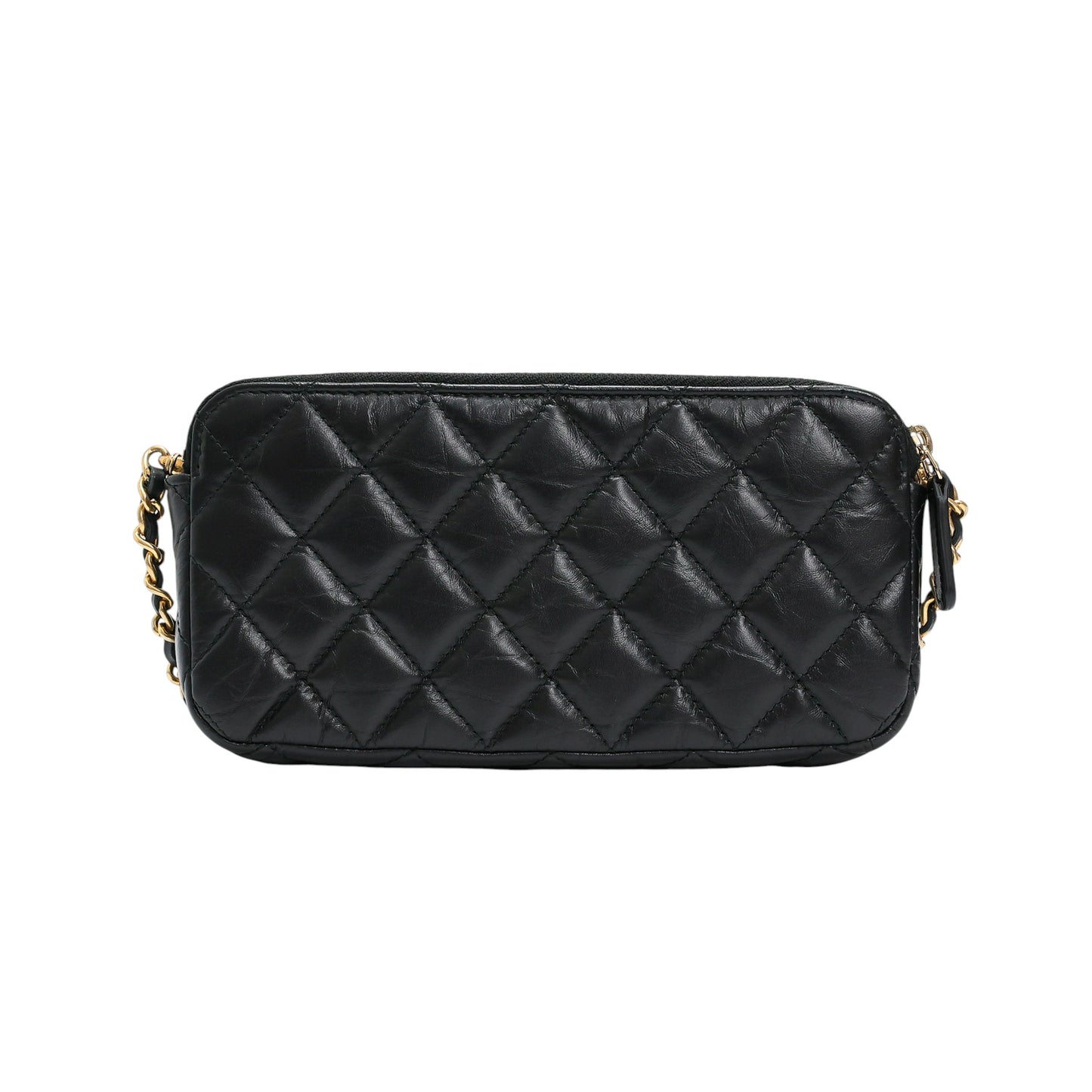 Chanel 2.55 Reissue Lucky Charm Wallet On Chain