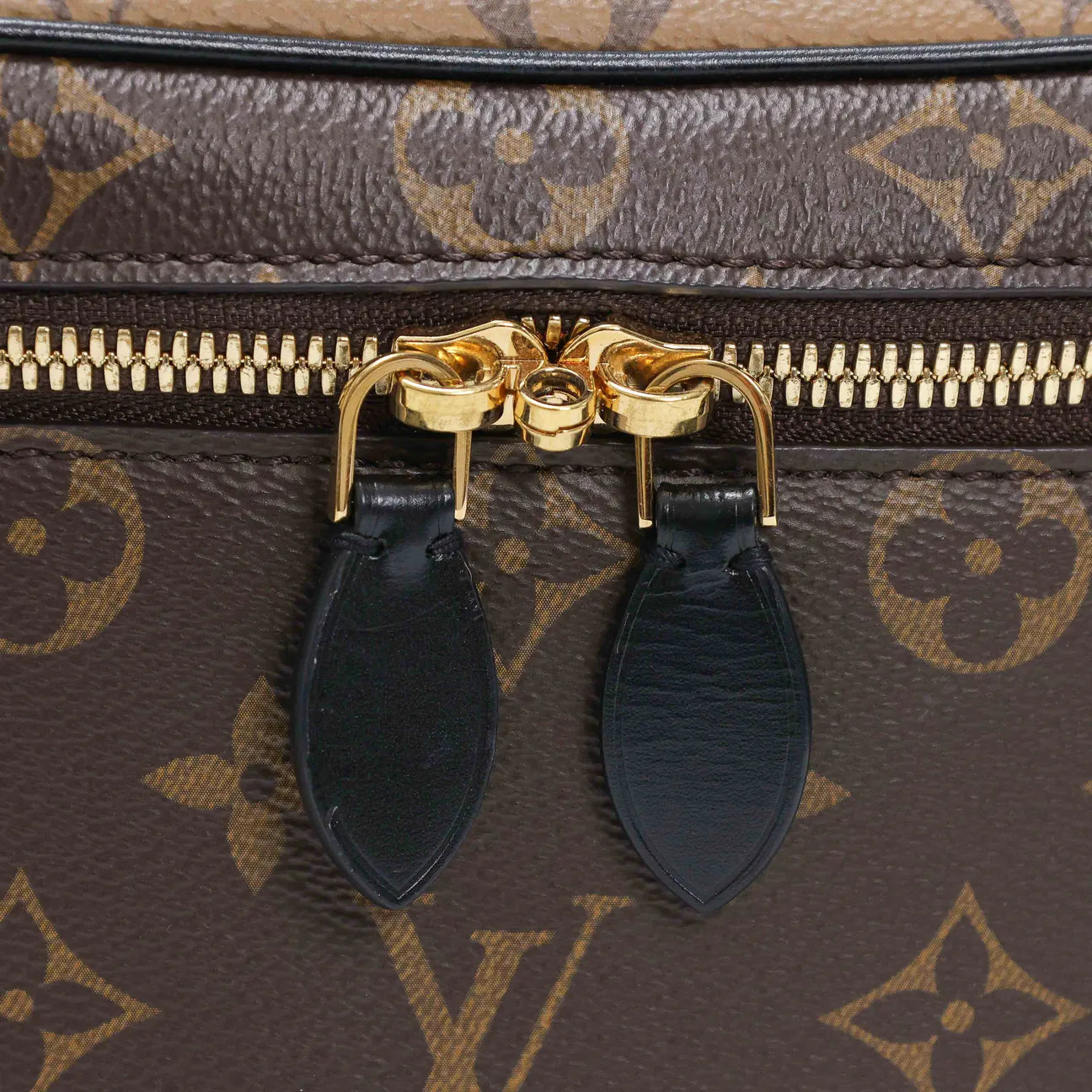 Louis Vuitton Vanity PM Bag
