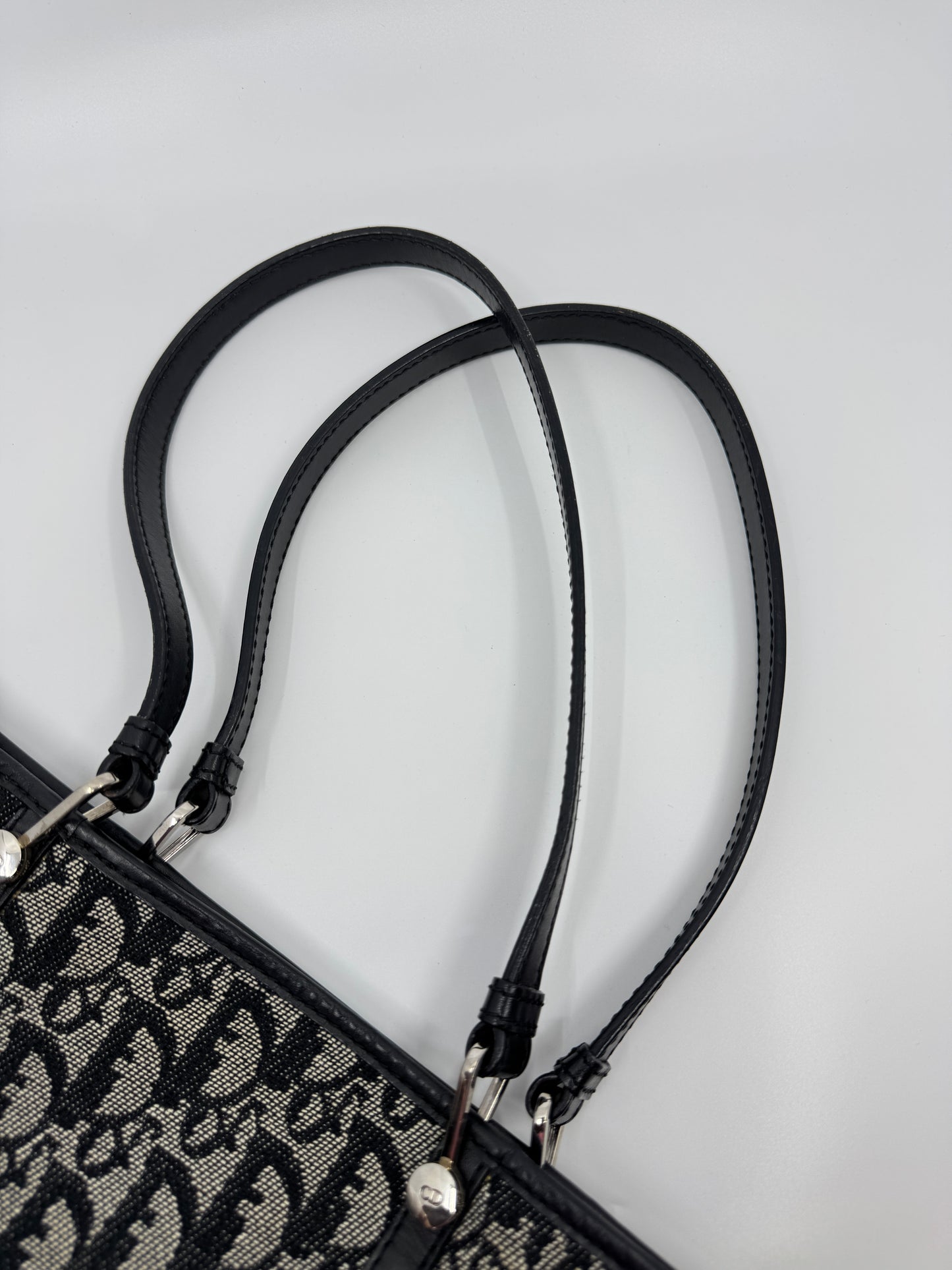 Dior Trotter Tote Bag