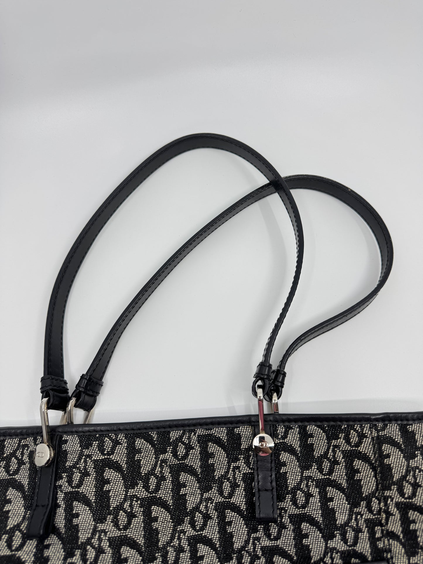 Dior Trotter Tote Bag