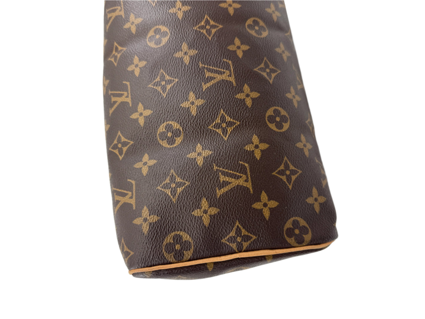 Louis Vuitton Speedy 25 Monogram