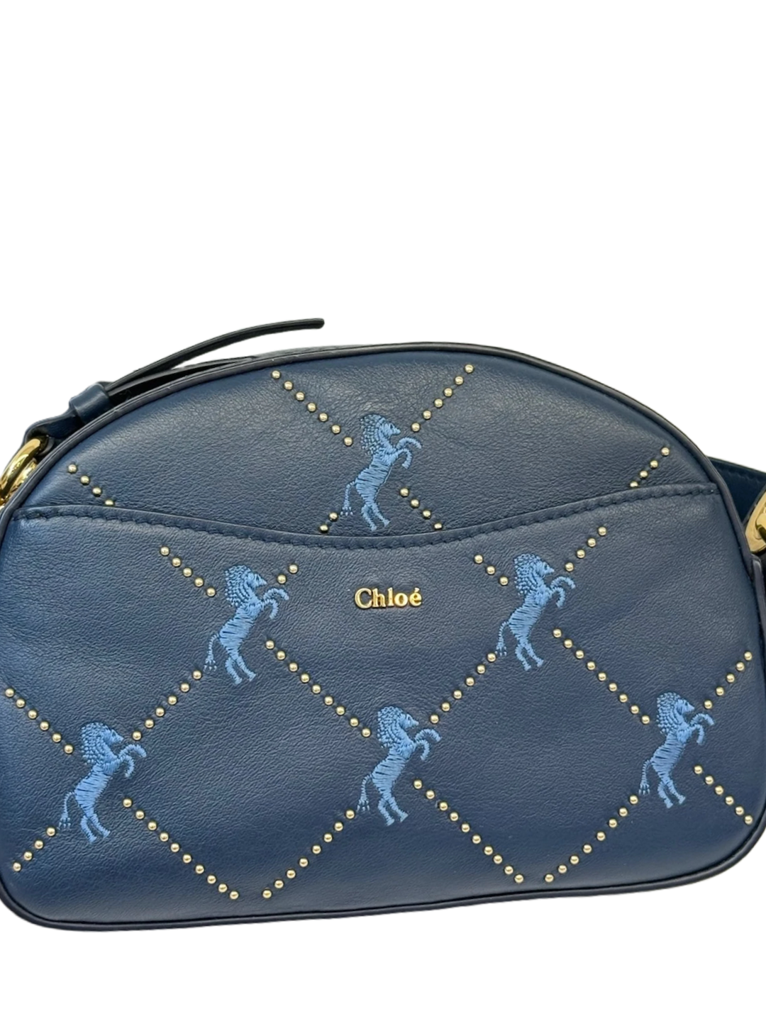 Chloe Camera Bag